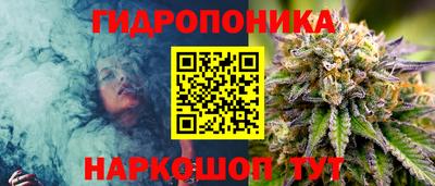 круглые Тверь